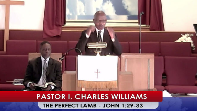 "THE PERFECT LAMB/JOHN 1:29-33"